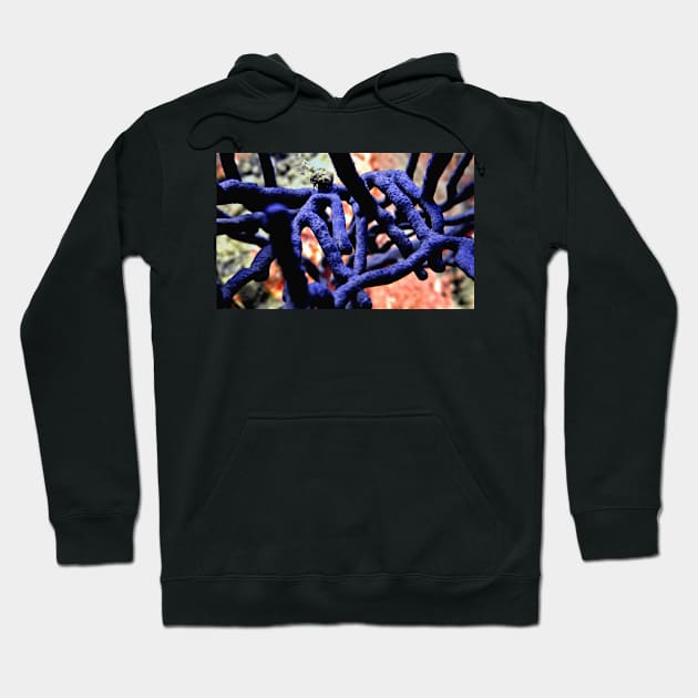 Purple Finger Coral on Reef Hoodie by Scubagirlamy